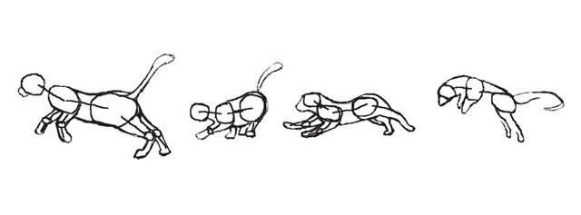 Simple ovals capture main body parts
: A series of ovals of varying sizes positioned at important junctions and capturing some of the main body parts. The particular orientations and combinations of these primitives indicate different body poses and leads to an animation of natural-looking movements.
